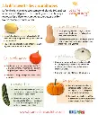 bienfait courge.webp