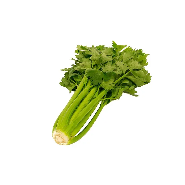 Céleri vert : Belgique
