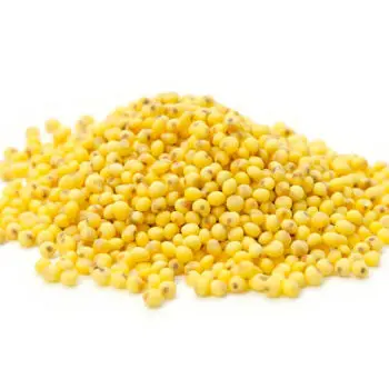Millet par 250Gr