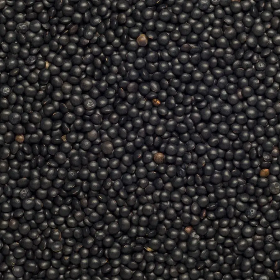 Lentille beluga par 250Gr