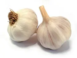 Ail - à la tête : Belgique