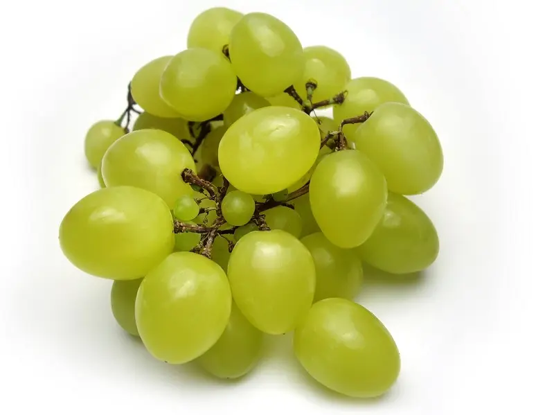 Raisin blanc : 250 gr