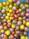 Tomate cerise - 250gr : Lauradis