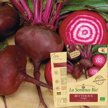 [Sac 060] Graine : Betterave Chioggia