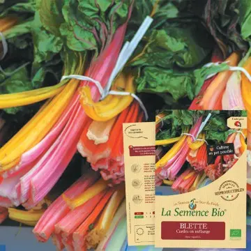[SAC 196] Graine : Blette cardes en mélange 