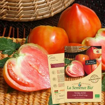 [SAC 398] Graine :  Tomate Cœur de Bœuf rouge 