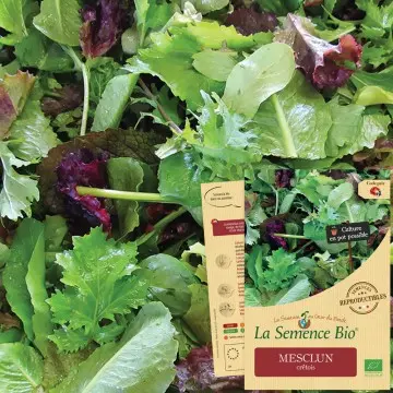 [SAC 050] Graine :  salade Mesclun crétois