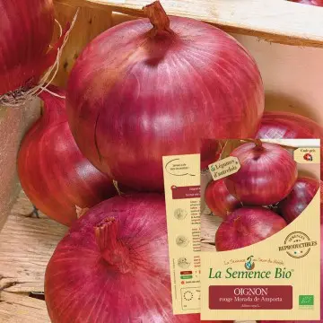 [SAC 057] Graine : Oignon rouge Morada de Amposta