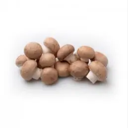 [32235] Champignon châtaigne - 250gr