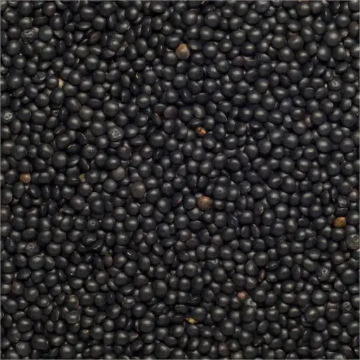 [81209] Lentille beluga par 250Gr