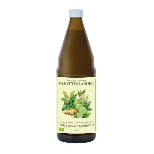 Kombucha citron gingembre 75cl casier