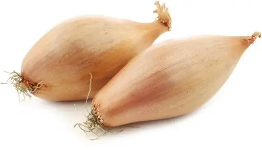 [21022] Echalotte - 250gr : Belgique