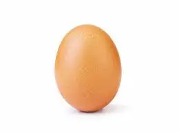 Oeufs: Lauradis