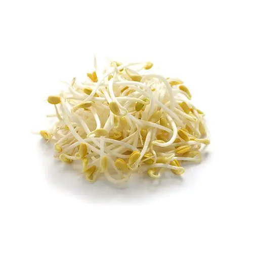 [32816] Germe Soja 250gr