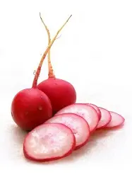 Radis botte
